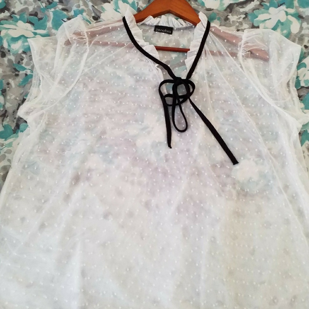 Sheer Polka Dot Blouse